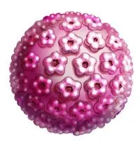 hpvvirus