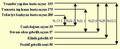 sonuc_grafik